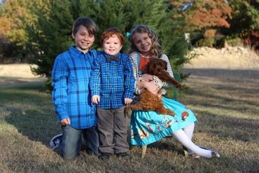 Calla Lily Cavapoo Puppies