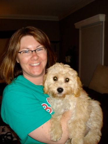 Calla Lily Cavapoo Puppies