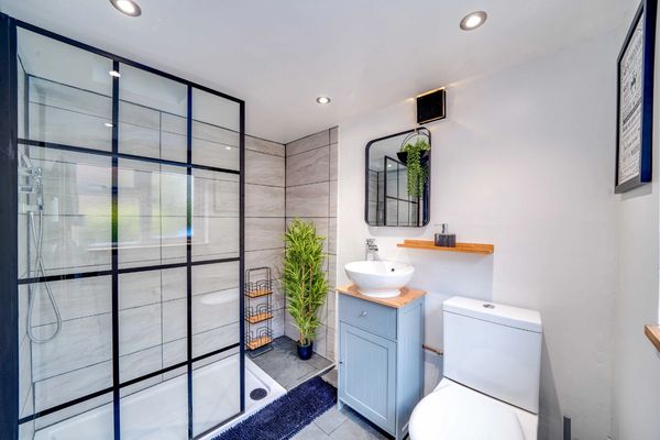 Modern bathroom with glass shower, blue cabinet, and decorative plant.