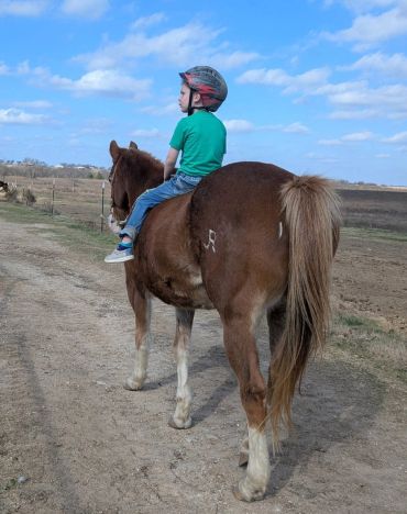 A child wearing a helmet rides a brown horse on a dirt path.