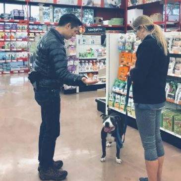 Jonathan Wong training Peaches, a pitt bull, inside Pet Food Express Pinole