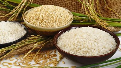 Basmati Rice