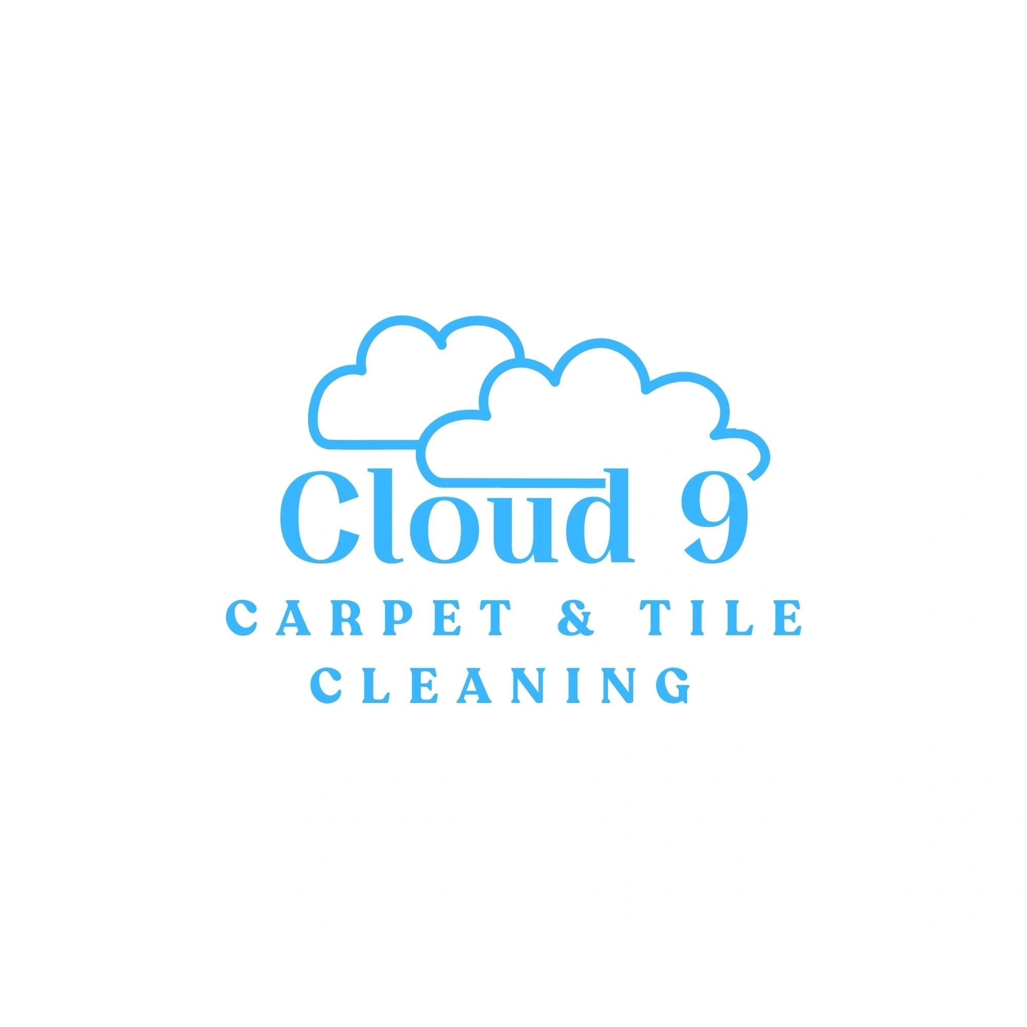 Cloud 9 Carpet & Tile Cleaning