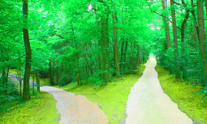 “If you don't like the road you're walking, start paving another one.”
