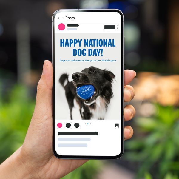 Social media post celebrating National Dog Day with a dog holding a tennis ball with the hotel's log
