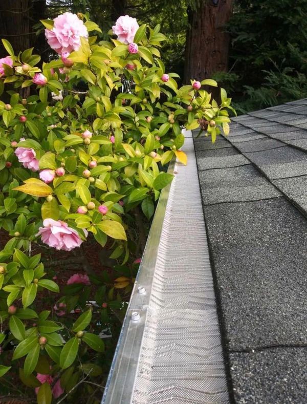 Stainless steel micro mesh