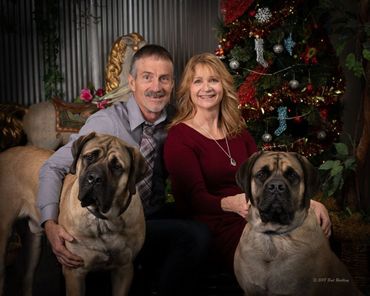 A couple and their dogs