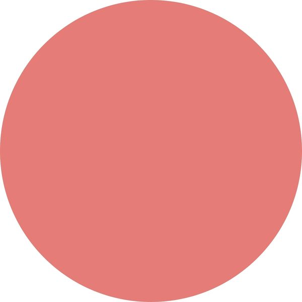 A large solid coral circle on a white background.