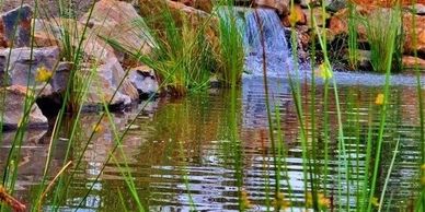 pond and waterfall cleaning