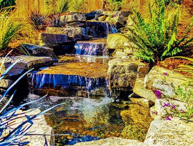 pond cleaners
