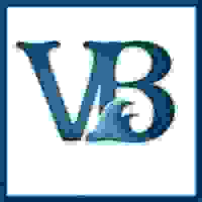 The City of Virginia Beach Logo