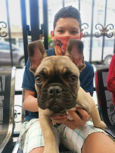 clientes felices emergencias veterinarias chia