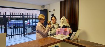 Milán y Aby, pacientes de la doctora Angélica Barrero de medicina interna.
