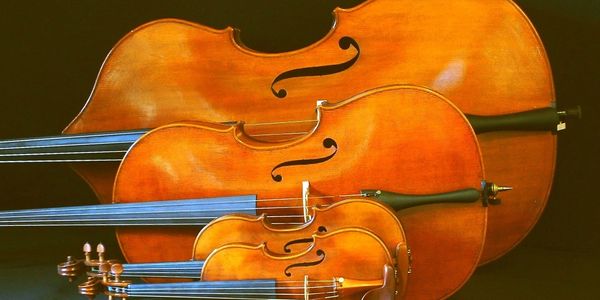 violin rentals, viola rental,cello rentals, bass rentals,music store,violin shop,rococo violin shop