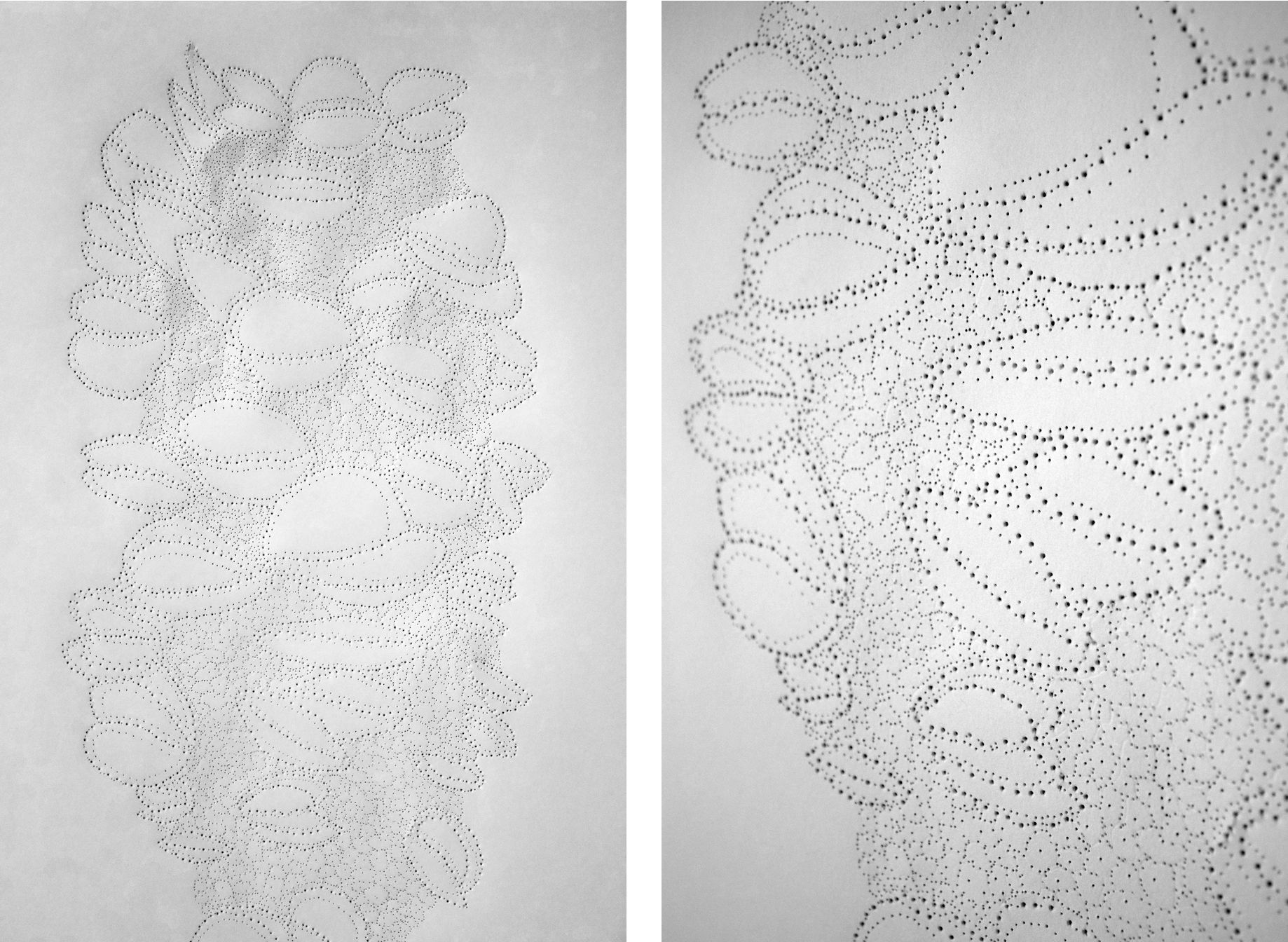 b. integrifolia, pierced paper& charcoal, 2018 by Bethany Wheeler.