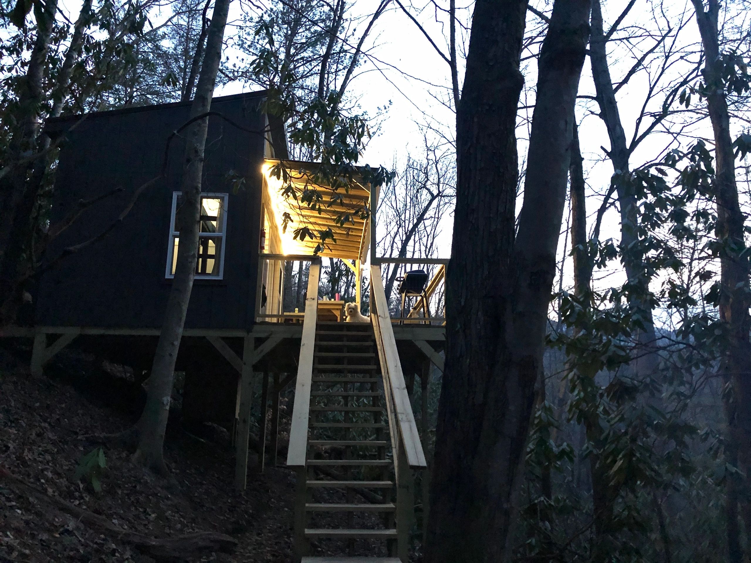 Tree house #2 illuminated by solar-powered lights at dusk