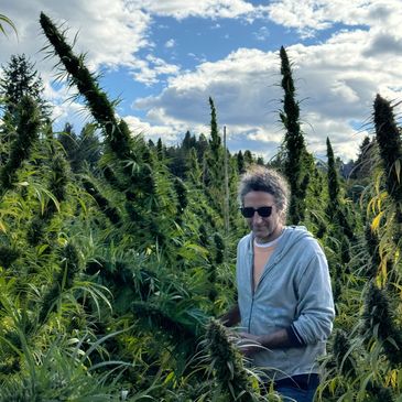 Frey Garabagi, PhD
Managing Director
HMP Biogenic
Chola Hemp