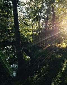 Taken By Rachel Norman and copyrighted. Not to be used without permission.