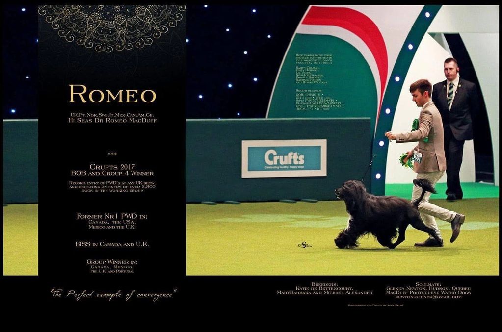 BISS/Multi GRCHMulti CH Hi Seas Dr Romeo MacDuff