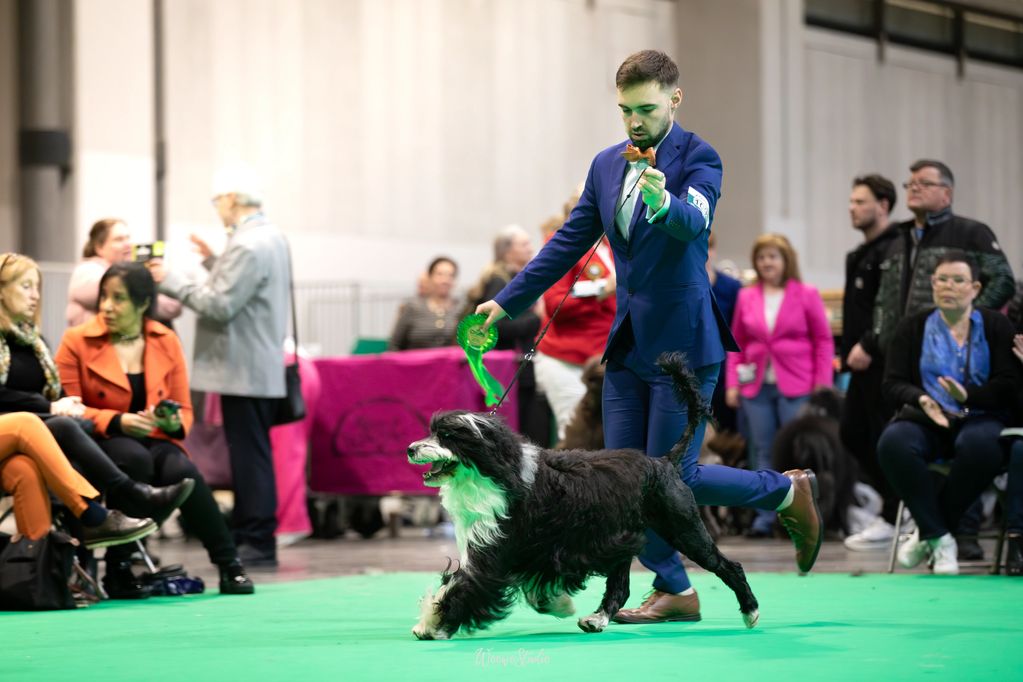 BISS/Multi CH Rarjo Quicksilver