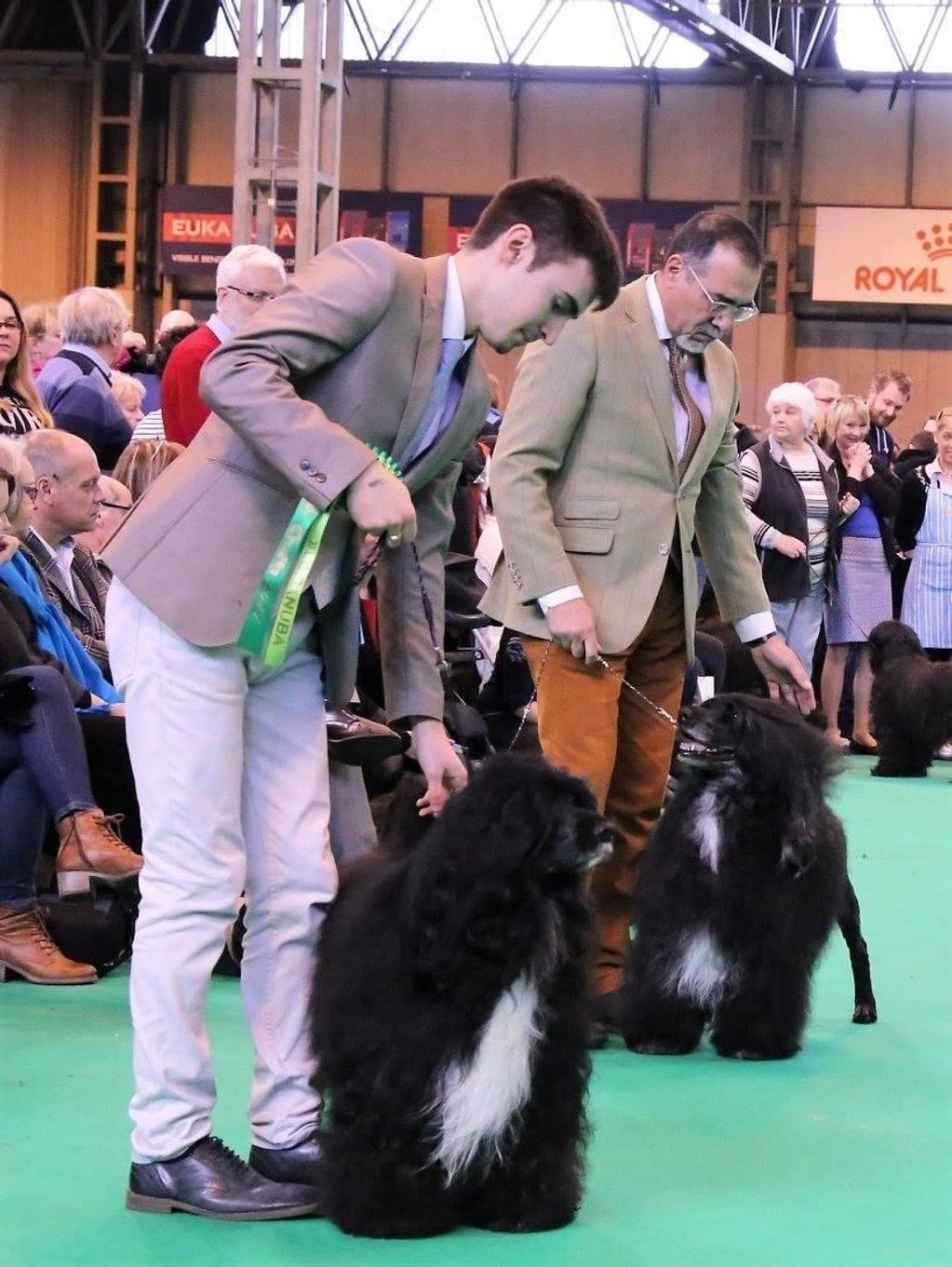 BISS/Multi GRCH/Multi CH Hi Seas Dr Romeo MacDuff