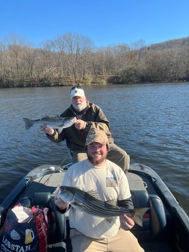 Housatonic River Stripers