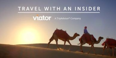 Pick from the best tours, activities, shore excursions, and events that will fit into any vacation s