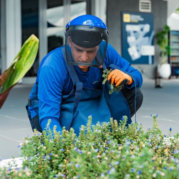 Landscaping / mantenimiento de areas verdes Maintenance Puerto Rico Commercial and Industrial