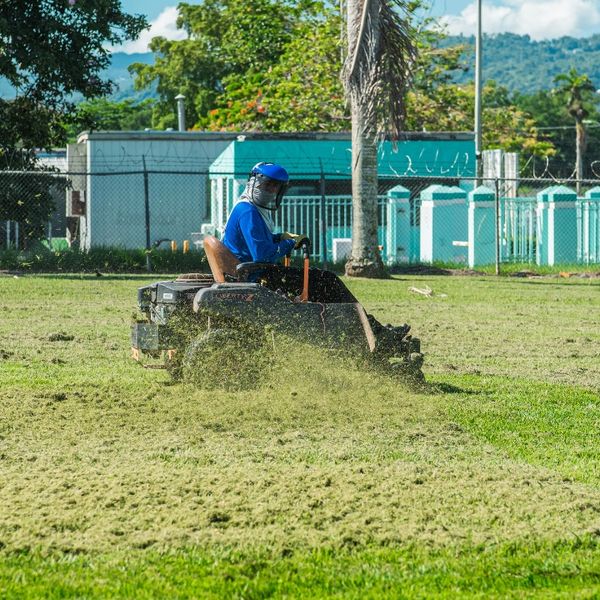 Landscaping Mantenimiento de areas verdes Building Maintenance Puerto Rico Commercial and Industrial