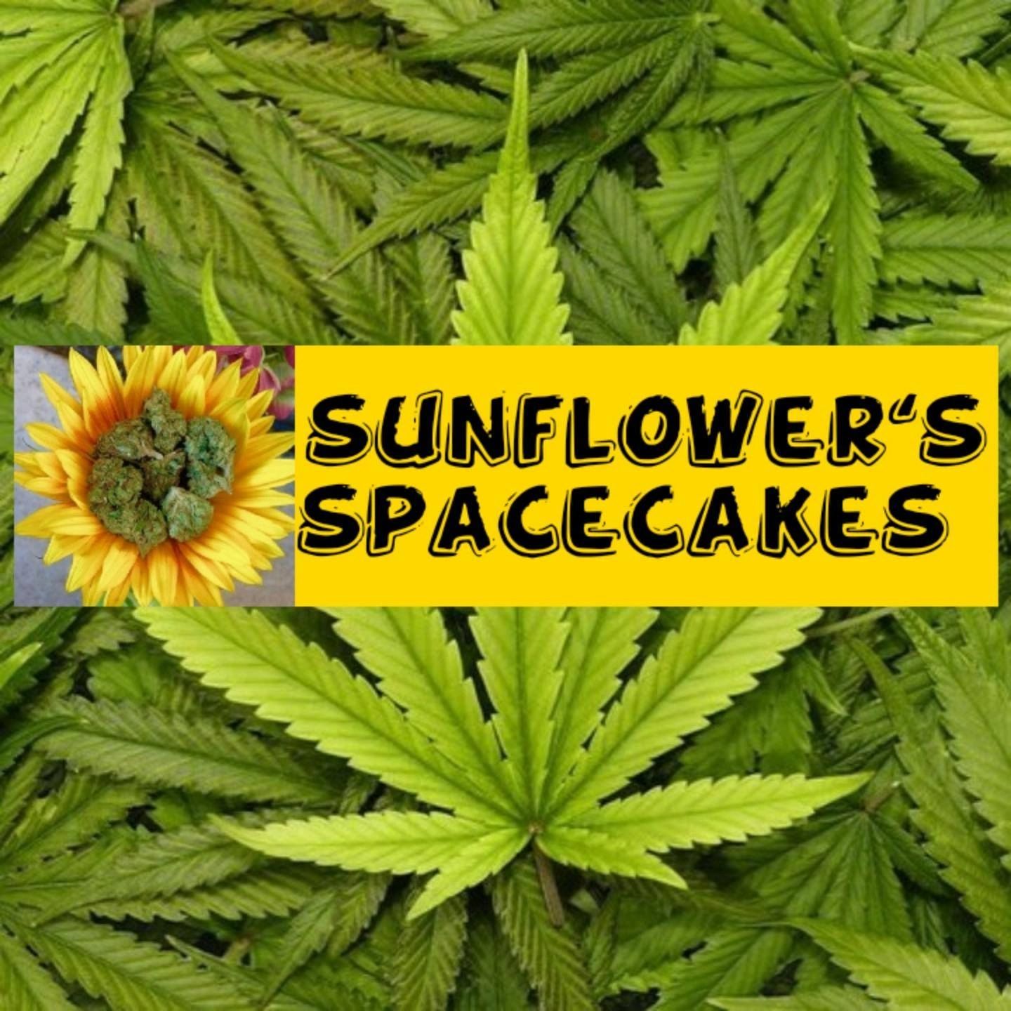 Please reach out to us anytime by text 267.900.7919.