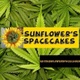 Sunflower's Space Cakes