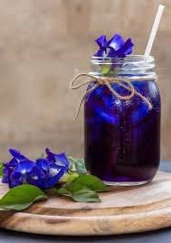 V Herbal Teal Single Blend