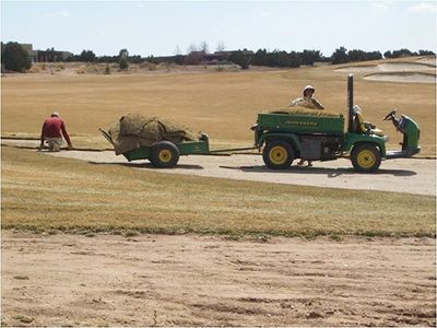 Sod in rough was replaced with non-irrigated native vegetation.