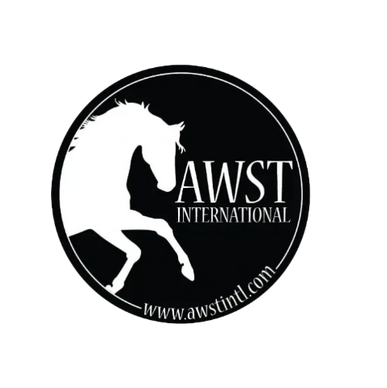 AWST International