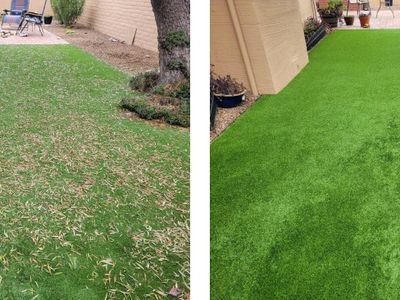 Before and after lawn cleanup with fresh green grass.