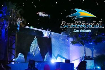 Seaworld Theme Park Acrobatic Show