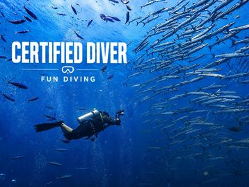 Certified diver exploring underwater with a school of fish.