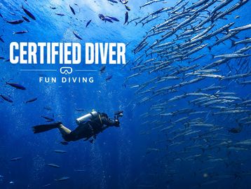 Certified diver exploring underwater with a school of fish.
