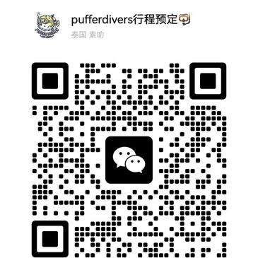 QR code for pufferdivers itinerary booking.