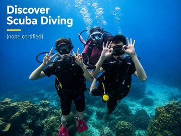 Three scuba divers underwater showing OK signs near coral reefs.