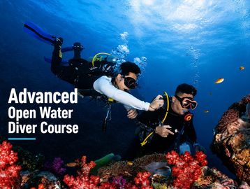 Two scuba divers underwater near coral reef with course text.