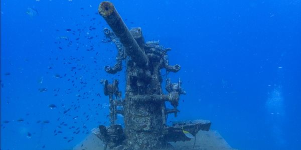 Underwater shipwreck with a gun and surrounding fish.
