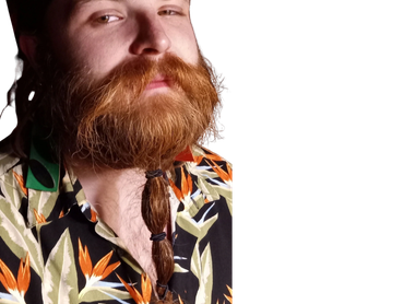 Bearded man with braided beard and Hawaiian shirt.