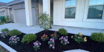 Freshly mulched garden bed with blooming flowers in front of a house.