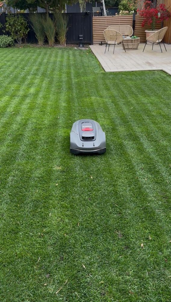 Robotic lawn mower cutting a neatly striped green lawn.