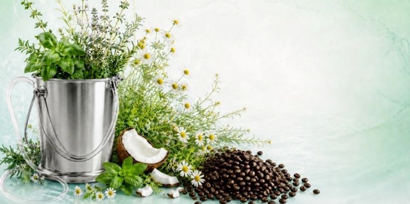 Bucket, coffee, chamomile, coconut