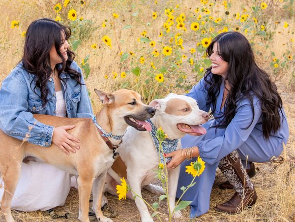 Two women happily posing with two dogs in a field of yellow flowers.