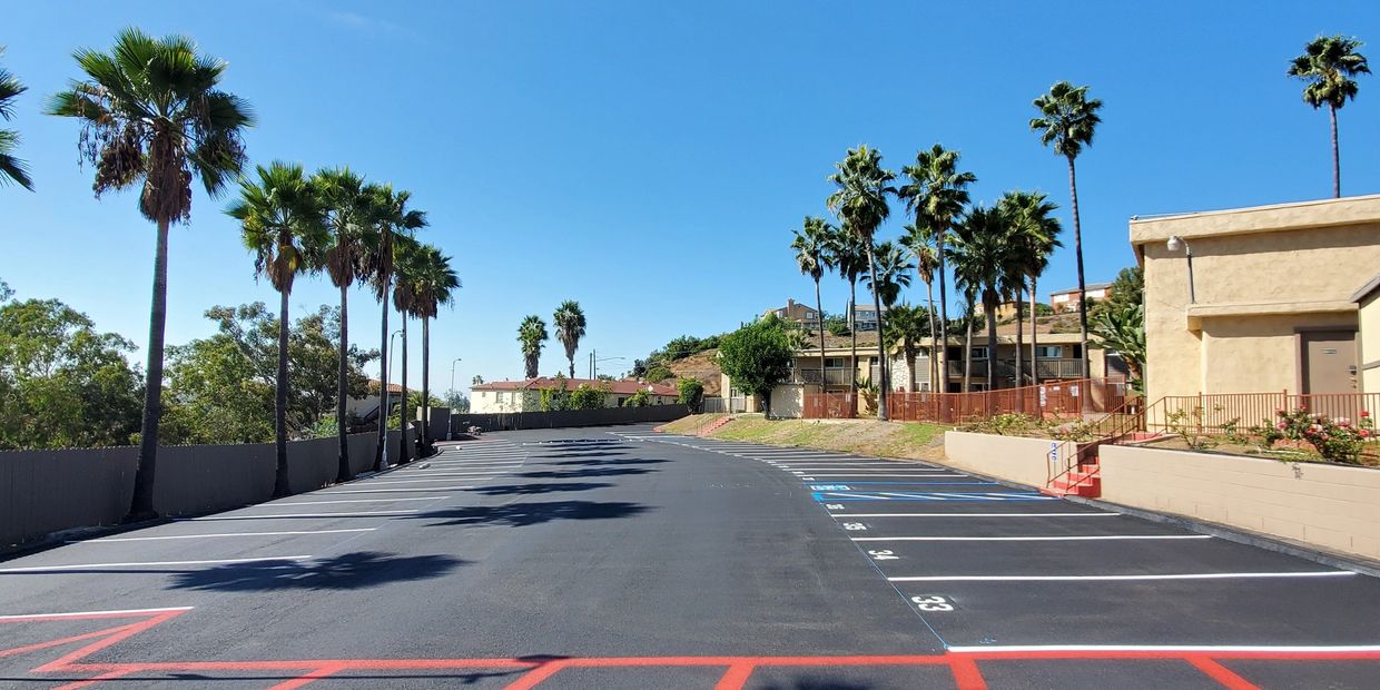 Empty parking lot with palm trees on a sunny day.