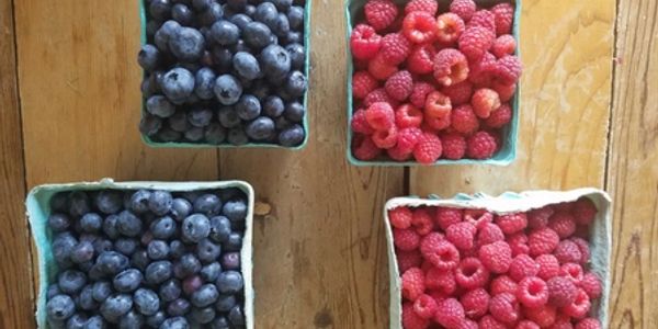 you pick freah berries near columbus ohio at bloomfield meadows berry farm and fresh market