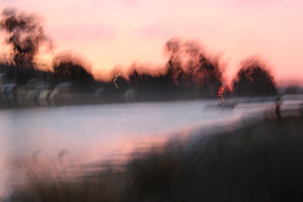 Blurry riverside at sunset with trees and pink sky.